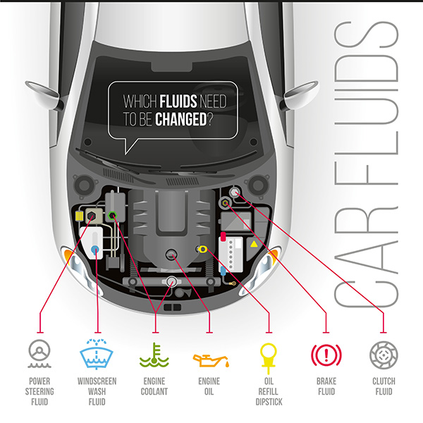 5 Most Important Car Fluids Every Driver Should Know About and How to Check Them