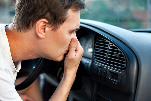 Why Do You Need to Change Your Cabin Air Filters? - Guthrie's Auto